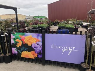 Discover Spring display at Hamilton Garden Centre
