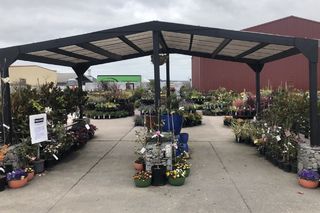 Entry to Plant Depot Garden Centre Hamilton